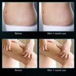 1e97b65f41af84447fda29607d7e44ed