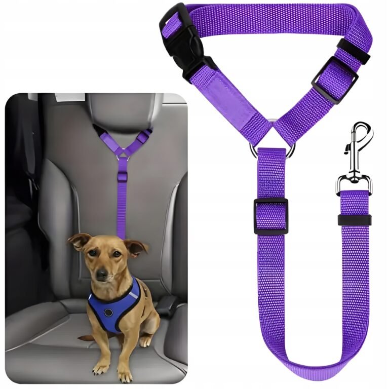 e22441595c6786a2ac5e13969afee425