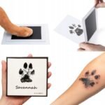 e50acbe841ec4d3c812216abc356803f