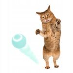 7ab386885cb38a9155cee38522784771