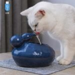 5bc4ed6d0821b0fefac097f2276b6d6e