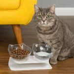 c4a497e2290f7f868894b90510a3836a