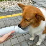 a72dbb5e3e23b16e07353a8df9a686d2