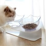 36f24f32dd949cb616afb413332eb3da