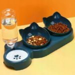 49b8cf816e33d14d319d932279784e91