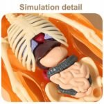 5e5f4f8aae409eee2719d74c8aceeb71