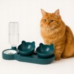 53ff86f0dc1d4b1dc72841f047c3576c