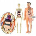 7eb5c9881ec9b5a38b53341b41412f89